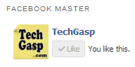 Facebook Master screenshot 8