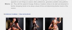 Facebook Page Photo Gallery screenshot 1
