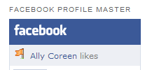 Facebook Profile Master screenshot 3