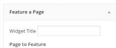 Feature A Page Widget screenshot 2