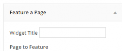 Feature A Page Widget screenshot 3