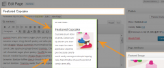 Feature A Page Widget screenshot 4