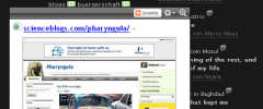 WP Social Blogroll screenshot 4