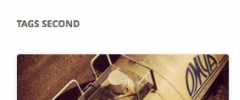 Flexible Posts Widget screenshot 4