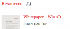 Flexible Posts Widget screenshot 6