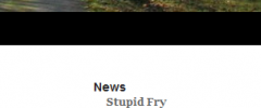 Flexible Recent Posts screenshot 2