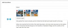 Flexible Slide To Top Accordion screenshot 3
