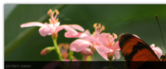 Flexo Slider screenshot 1