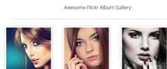 Flickr Album Gallery screenshot 6