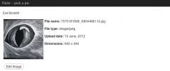 Flickr - Pick a Picture screenshot 5
