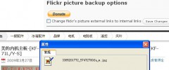 flickr picture backup screenshot 2