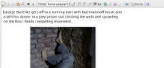 Foliopress WYSIWYG screenshot 1