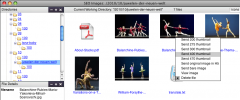 Foliopress WYSIWYG screenshot 2