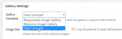 FooGallery Owl Carousel Template screenshot 1