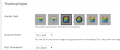 FooGallery ZOOM Template screenshot 2