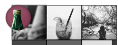 FooGallery ZOOM Template screenshot 3