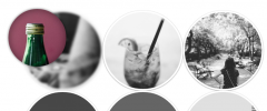 FooGallery ZOOM Template screenshot 4