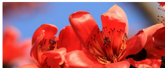 FP Responsive Slider screenshot 2