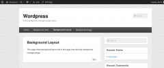 Full Background Manager screenshot 6
