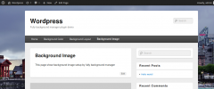 Full Background Manager screenshot 8
