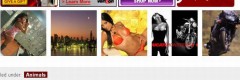 Funny video online screenshot 2