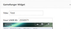 GameRanger Widget screenshot 2