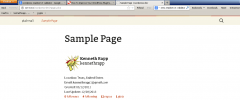 GitSwag screenshot 1