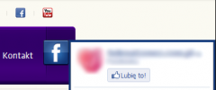 GL Facebook Likebox screenshot 1