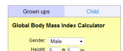 Global Body Mass Index Calculator screenshot 3