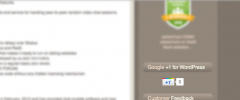 Google +1 Button screenshot 1