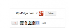 Google+ Badge Widget screenshot 1
