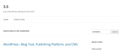 Google CSE screenshot 1