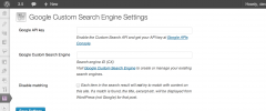 Google CSE screenshot 2