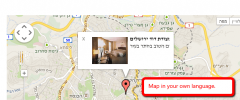 Wordpress Google Map Professional (Map In Your Language) screenshot 5