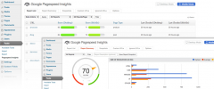 Google Pagespeed Insights for Wordpress screenshot 1