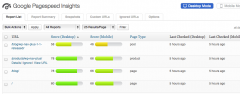 Google Pagespeed Insights for Wordpress screenshot 2