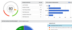 Google Pagespeed Insights for Wordpress screenshot 4