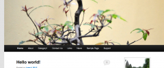 Google Picasa Viewer screenshot 3
