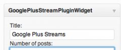 Google Plus Stream Widget Plugin For WordPress screenshot 2