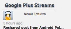 Google Plus Stream Widget Plugin For WordPress screenshot 4
