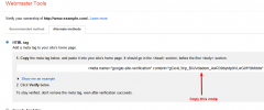 Google Site Verification plugin using Meta Tag screenshot 3