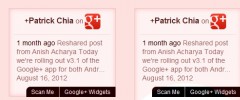 Google+ Plus Wordpress Widget screenshot 3