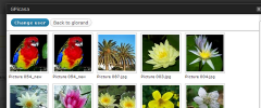 GPicasa screenshot 4
