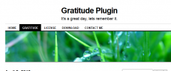 Daily Gratitude screenshot 1