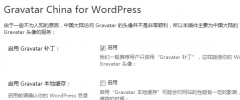 Gravatar China screenshot 1
