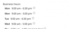 Gravity Forms Business Hours by GravityView screenshot 2