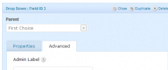 Gravity Forms + Custom Post Types screenshot 5