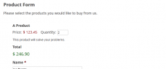 Gravity Forms Paystation (3 Party Hosted) screenshot 5