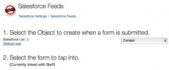 Gravity Forms Salesforce Add-on screenshot 1