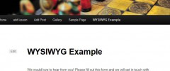 Gravity Forms WYSIWYG screenshot 3
